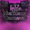 Piseirinho E Reggaes - Puta Mexicana Versão De carnaval (Vai Sua Cavalona)