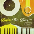 Bustin the Blues, Vol. 5