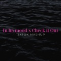 Xanemusic、Bull Beats - In Ha Mood x Check It Out (TikTok Mashup)(Remix)