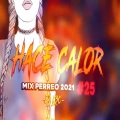 DJ NESTOR - Mix PERREO 2021 #25 - HACE CALOR Dj L30