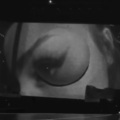 Bella DJ - I See It, I Like It, I Want It, I Got It (Tik Tok Version)(Remix)
