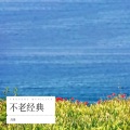 高雄 - 难得有情人