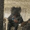 Top dawg 2/ no fans (Explicit)