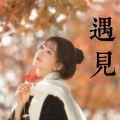忆梦 - 但愿人长久
