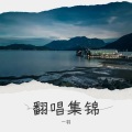 一羽 - 陪在你身边