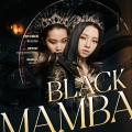 凯乐Kailer - Black Mamba