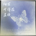 艾酱儿 - 烟花升停在星夜