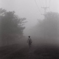 Meril storm、Bo Thelin、The Lagoon、Janine Marcell - Soft Drizzle