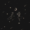 陈曦、白菜 - 触电