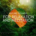 Water Sound Natural White Noise、Fresh Water Sounds for Inner Peace、River Sounds - Whimsical Waterfalls Sounds to Relax With, Pt. 1