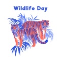 Wildlife Day - Welcome To The Jungle