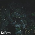 Ömer Bükülmezoğlu - Flora