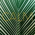 Calm