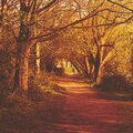 colours in the dark - Autumn Love