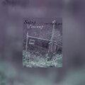 Saint Vincent、bxtweak - Bruised trip (feat. bxtweak)(Explicit)