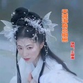 王温迪 - 天涯海角总相思 (remix: 望海高歌)