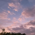 冽冽 - 再见
