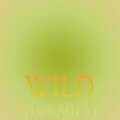 Aury Scoro - Was 200