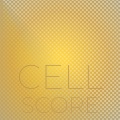 Ceck - Base Contact