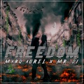 Freedom (Mainstage Bigroom Mix)