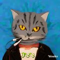 Diego Nióslia - Formas De Ver a Un Gato