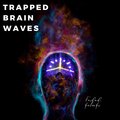 Fardad Falsafi - Trapped brain waves
