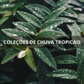 Música Para Cães、Música Para Cães Adormecidos、Dormir e Meditar - Infantil