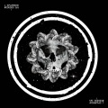 Rider Shafique、Jack Sparrow - Grey Skies (feat. Rider Shafique)
