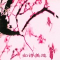 新时代轻音乐团 - 高原之声