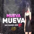 DJ NESTOR - Mix PERREO 2022 #7 - MUEVA MUEVA♫ Dj L30