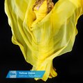 SGRN、Lee Wilson、Szymon Zieliński、Closer Music - Yellow Dress