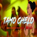 DJ NESTOR - TAMO CHELO ♫ - Mix PERREO RKT 2022 #12 Dj L30