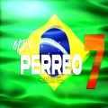 DJ NESTOR - MIX PERREO BRASILEÑO 2022 #7 - Lo mejor del remix♫ Dj L30