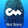 Kaymo、J Mike、Closer Music、Jason Strong、Jakub Nowak - Not Sorry