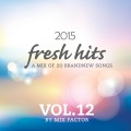 Fresh Hits - 2015 - Vol. 12