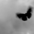 michi loves you - Yes to Heaven Speed (Explicit)