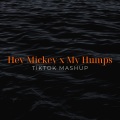 Xanemusic、Bull Beats - Hey Mickey x My Humps (TikTok Mashup)(Remix)