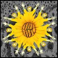 Shine and Rise