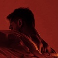 P R A D O - Bebe