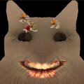 Diego Nióslia - Flowers in Cat