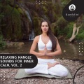 Calm Remedy Meditation (Original Mix)