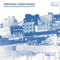 solid groove - Flookin' (Domu's Lucky Dub)