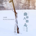 王超然 - 曲终人散两茫茫