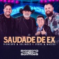 Saudade de Ex (Ao Vivo)