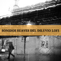 Sonidos Suaves Del Diluvio Lofi