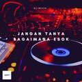 DJ infvck - Jangan Tanya Bagaimana Esok