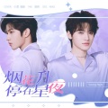 BOOM-TV - 烟花升停在星夜