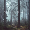 Fered - Cloudy Jungle