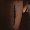 Brainwash - Redwood Tree