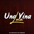 Dj Teeo - Una Vaina Loca